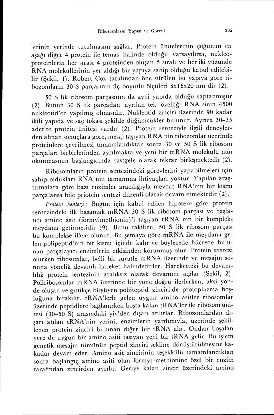 aldığı bir yapıya sahip olduğu kabul edilebilir (Şekil, 1). Robert Cox tarafindan öne sürülen bu yapıya göre ribozamların 30 S parçasının üç boyutlu ölçüleri 8x 16x20 nm dir (2).