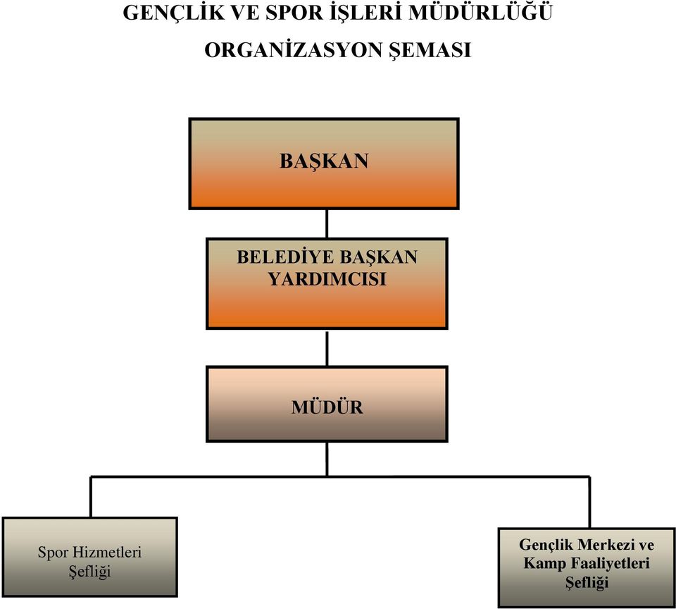 BAŞKAN YARDIMCISI MÜDÜR Spor Hizmetleri