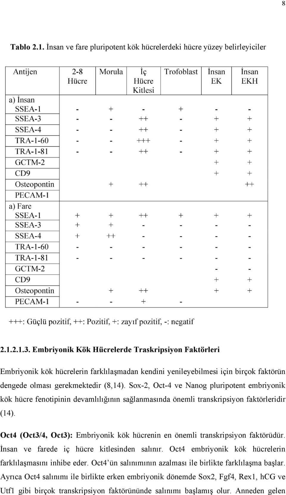 Sox-2, Oct-4 ve Nanog pluripotent embriyonik kök hücre fenotipinin devamlılığının sağlanmasında önemli transkripsiyon faktörleridir (14).