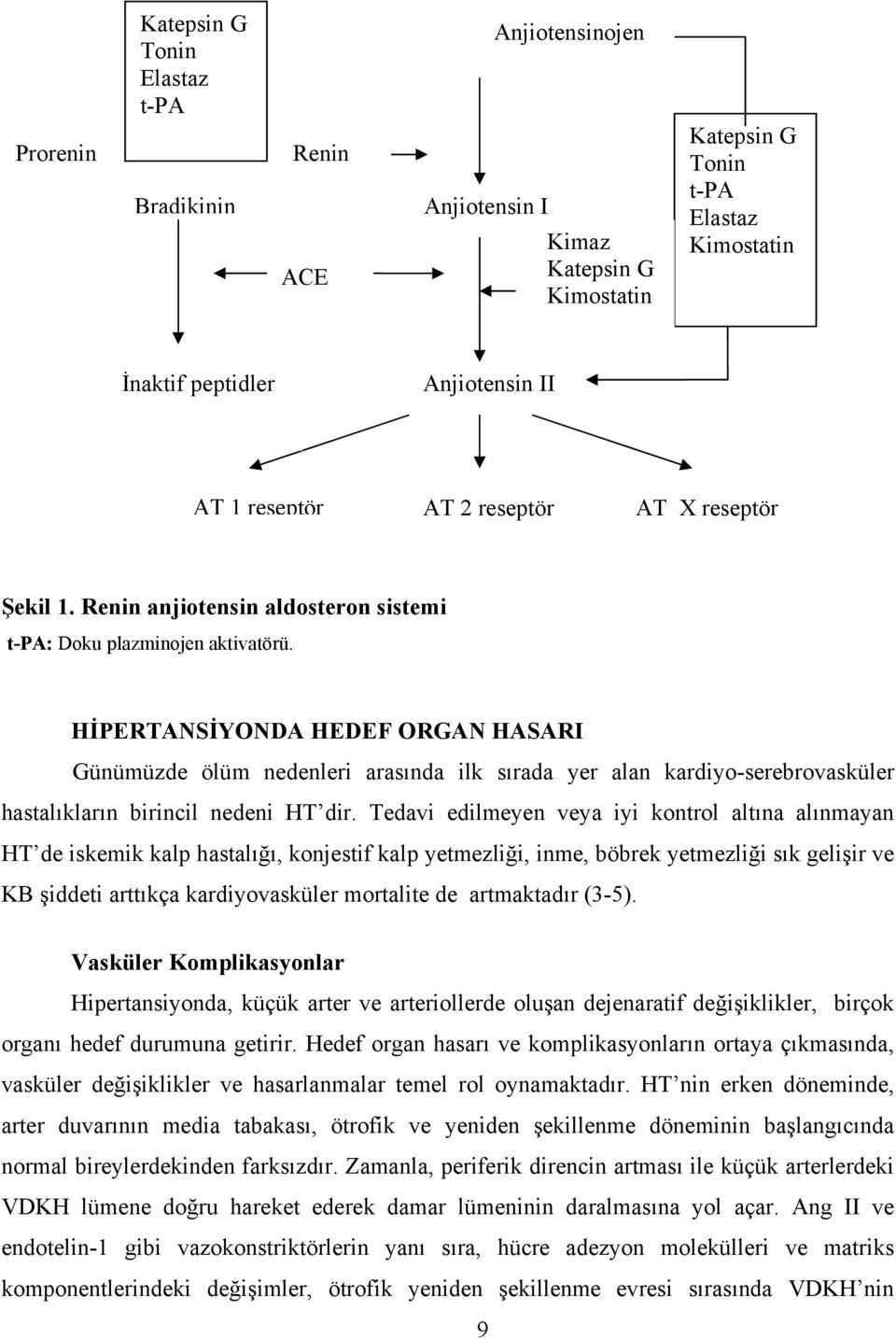 . HİPERTANSİYONDA HEDEF ORGAN HASARI Günümüzde ölüm nedenleri arasında ilk sırada yer alan kardiyo-serebrovasküler hastalıkların birincil nedeni HT dir.