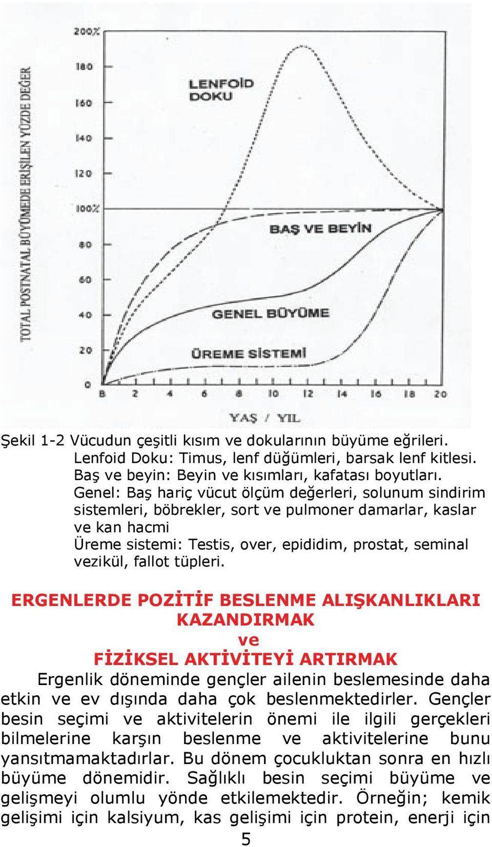 tüpleri. ERGENLERDE POZİTİF BESLENME ALIŞKANLIKLARI KAZANDIRMAK ve FİZİKSEL AKTİVİTEYİ ARTIRMAK Ergenlik döneminde gençler ailenin beslemesinde daha etkin ve ev dışında daha çok beslenmektedirler.