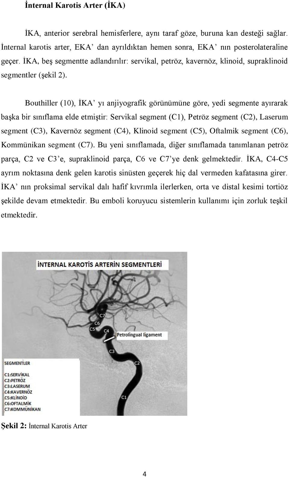 Bouthiller (10), İKA yı anjiyografik görünümüne göre, yedi segmente ayırarak başka bir sınıflama elde etmiştir: Servikal segment (C1), Petröz segment (C2), Laserum segment (C3), Kavernöz segment