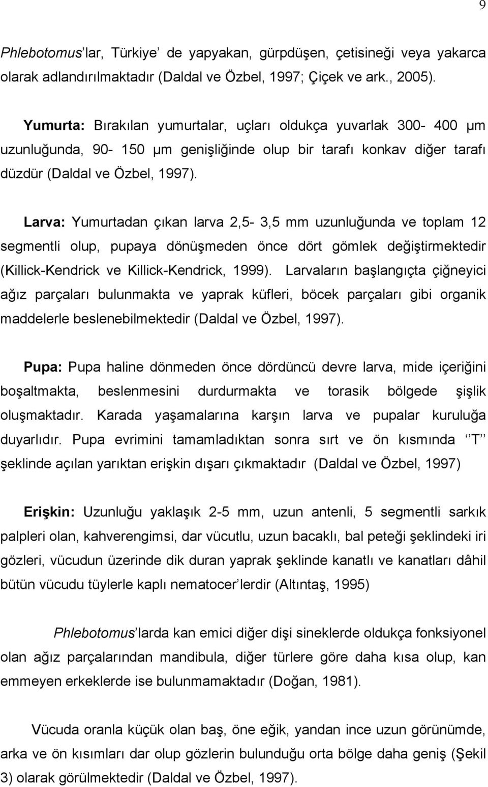 Larva: Yumurtadan çıkan larva 2,5-3,5 mm uzunluğunda ve toplam 12 segmentli olup, pupaya dönüşmeden önce dört gömlek değiştirmektedir (Killick-Kendrick ve Killick-Kendrick, 1999).