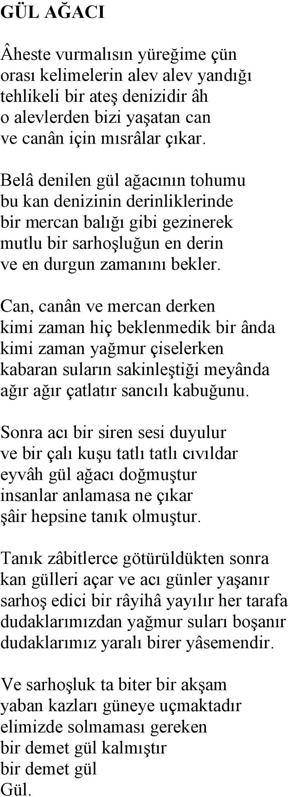 Can, canân ve mercan derken kimi zaman hiç beklenmedik bir ânda kimi zaman yağmur çiselerken kabaran suların sakinleştiği meyânda ağır ağır çatlatır sancılı kabuğunu.