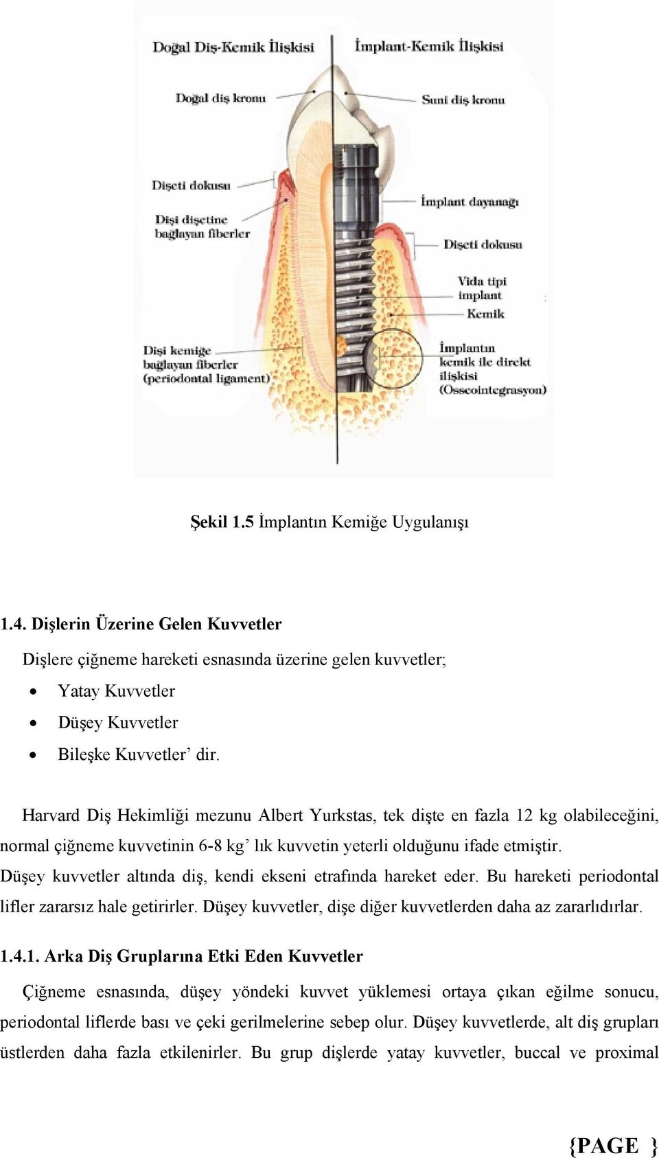 Düşey kuvvetler altında diş, kendi ekseni etrafında hareket eder. Bu hareketi periodontal lifler zararsız hale getirirler. Düşey kuvvetler, dişe diğer kuvvetlerden daha az zararlıdırlar. 1.