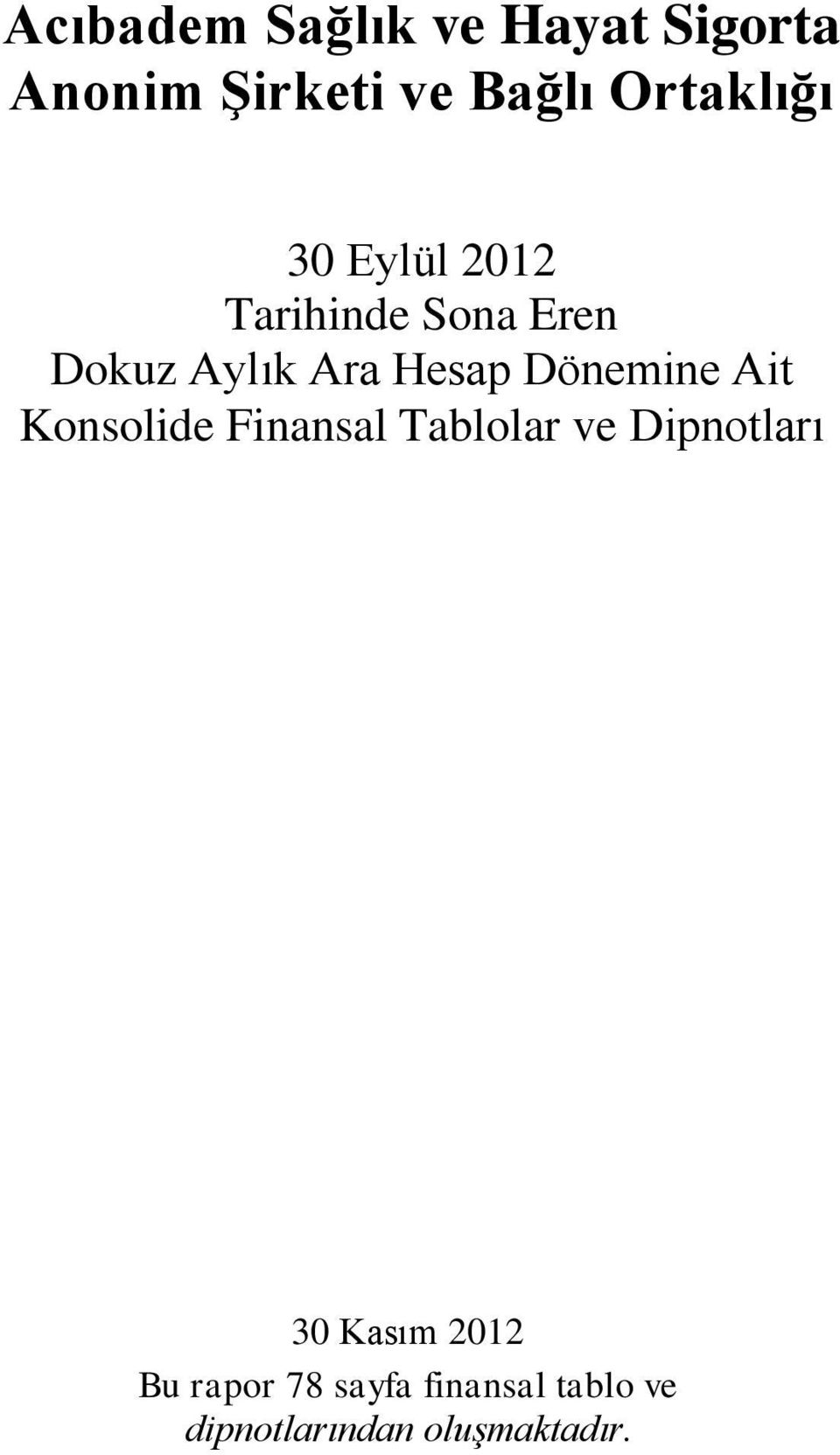 Hesap Dönemine Ait Konsolide Finansal Tablolar ve Dipnotları 30