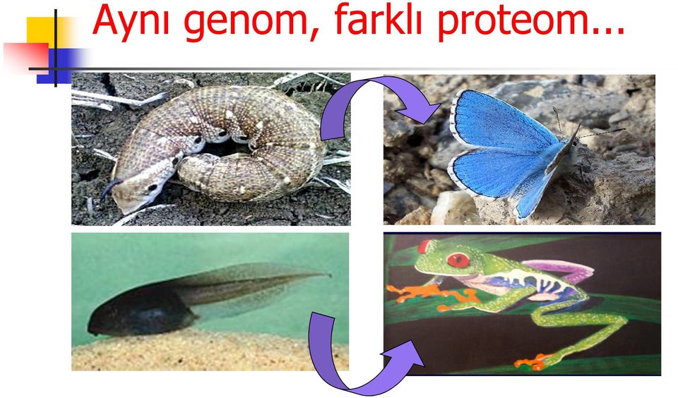 farklı