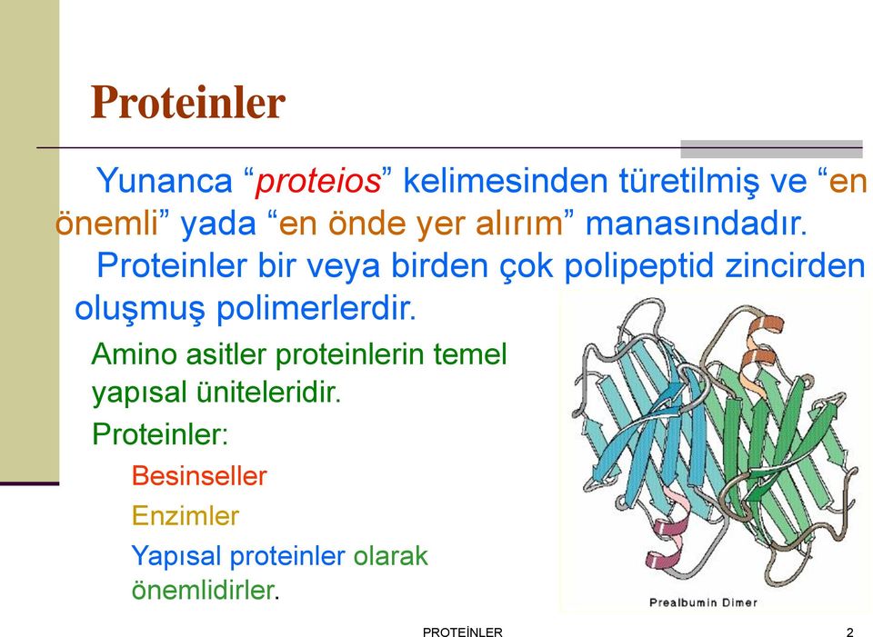 Proteinler bir veya birden çok polipeptid zincirden oluşmuş polimerlerdir.
