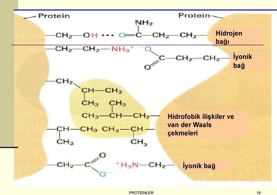 van der Waals çekmeleri