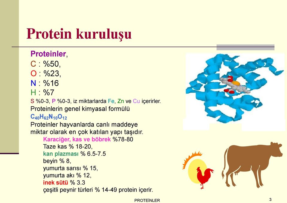 Proteinlerin genel kimyasal formülü C 40 H 62 N 10 O 12 Proteinler hayvanlarda canlı maddeye miktar olarak en