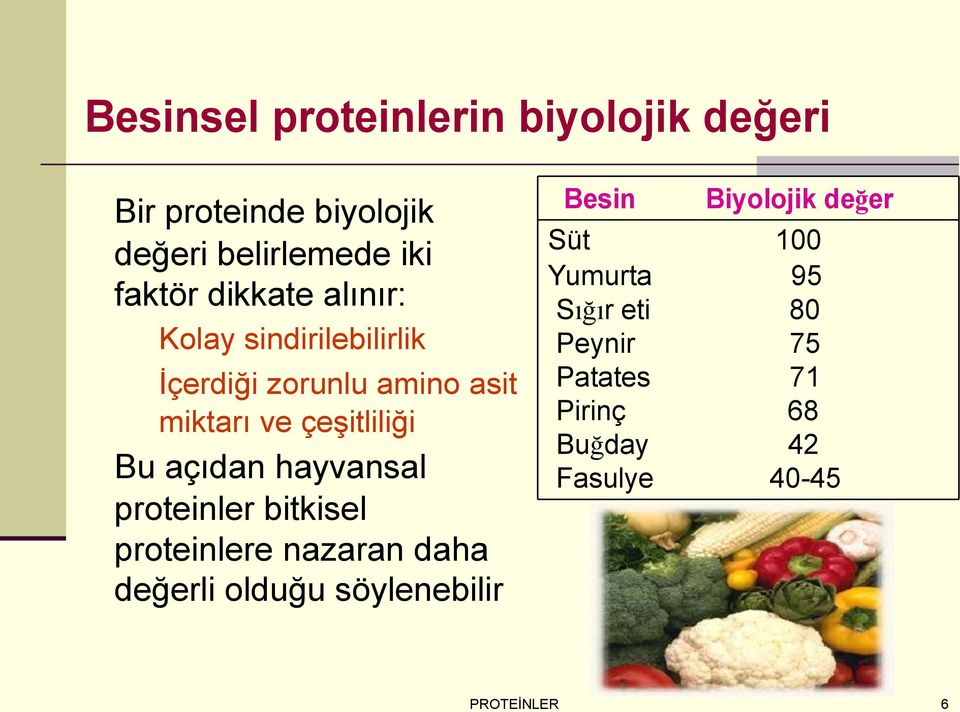 açıdan hayvansal proteinler bitkisel proteinlere nazaran daha değerli olduğu söylenebilir Besin