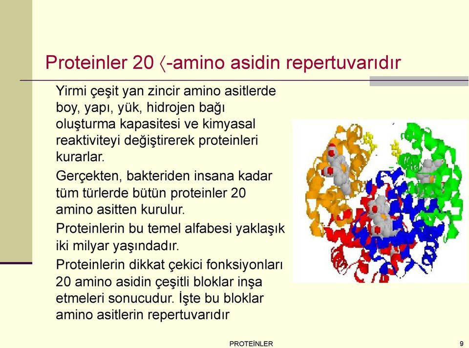 Gerçekten, bakteriden insana kadar tüm türlerde bütün proteinler 20 amino asitten kurulur.