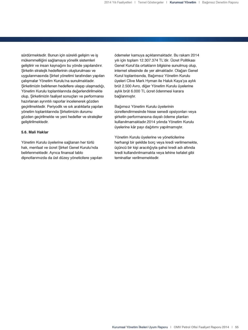 Şirketin stratejik hedeflerinin oluşturulması ve uygulanmasında Şirket yönetimi tarafından yapılan çalışmalar Yönetim Kurulu na sunulmaktadır.