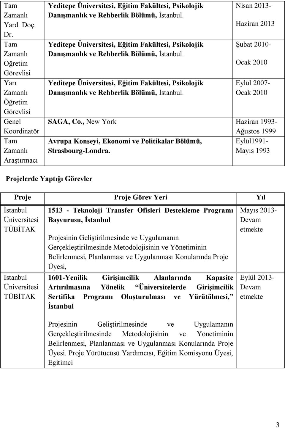 Nisan 2013- Haziran 2013 ġubat 2010- Ocak 2010 Eylül 2007- Ocak 2010 SAGA, Co., New York Haziran 1993- Ağustos 1999 Avrupa Konseyi, Ekonomi ve Politikalar Bölümü, Eylül1991- Strasbourg-Londra.