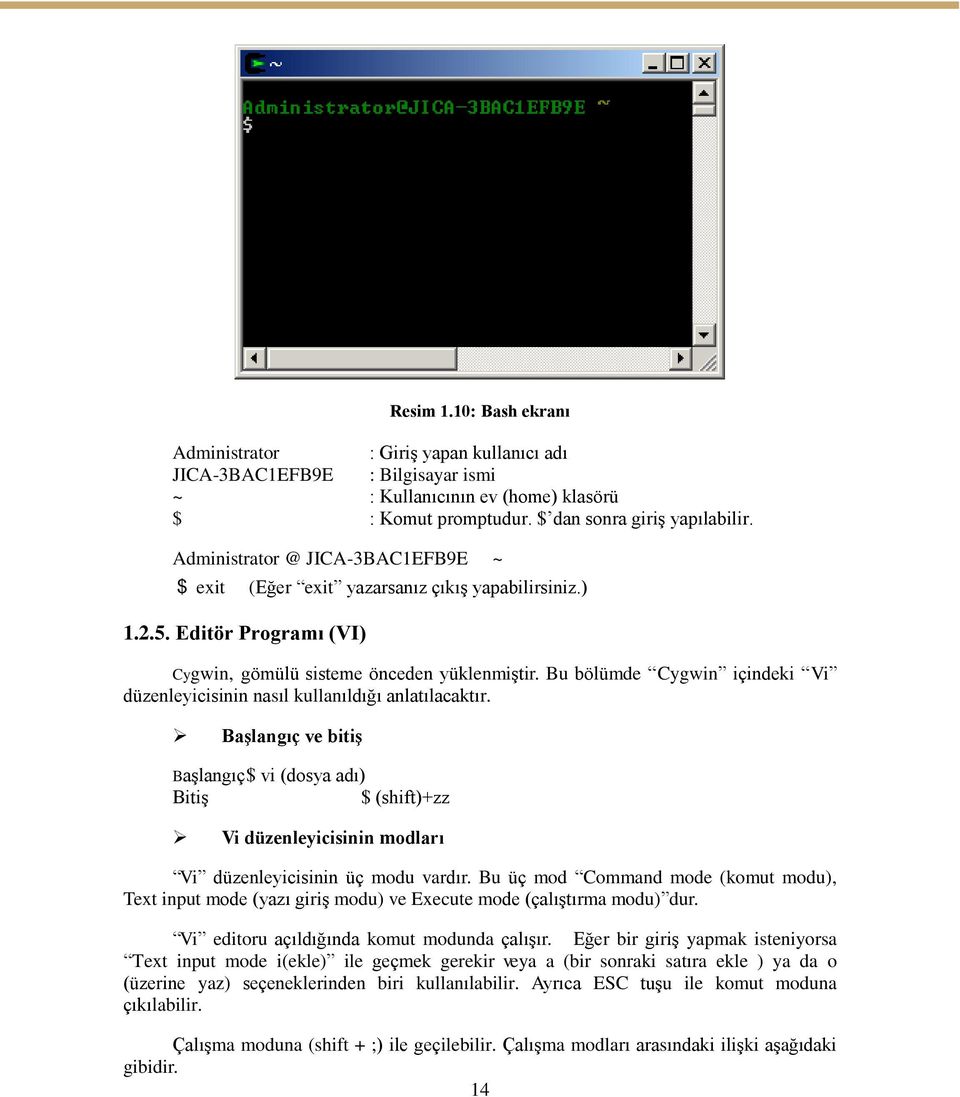 Bu bölümde Cygwin içindeki Vi düzenleyicisinin nasıl kullanıldığı anlatılacaktır.