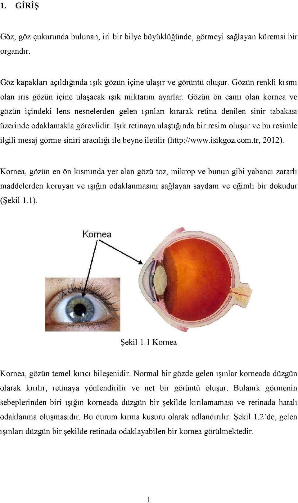 Gözün ön camı olan kornea ve gözün içindeki lens nesnelerden gelen ışınları kırarak retina denilen sinir tabakası üzerinde odaklamakla görevlidir.