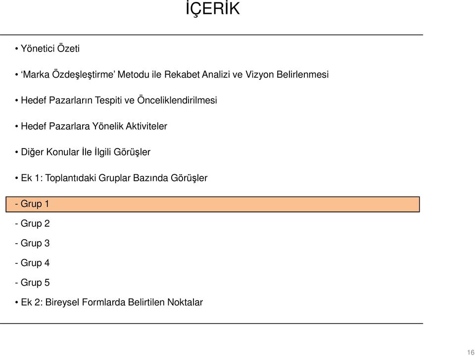 Aktiviteler Diğer Konular İle İlgili Görüşler Ek 1: Toplantıdaki Gruplar Bazında