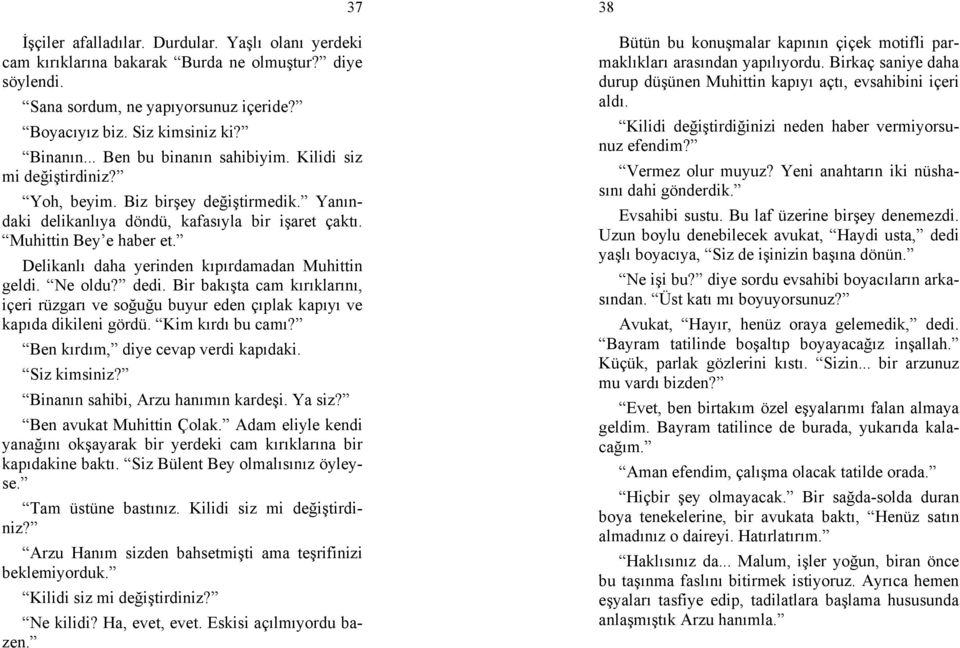 Delikanlı daha yerinden kıpırdamadan Muhittin geldi. Ne oldu? dedi. Bir bakışta cam kırıklarını, içeri rüzgarı ve soğuğu buyur eden çıplak kapıyı ve kapıda dikileni gördü. Kim kırdı bu camı?