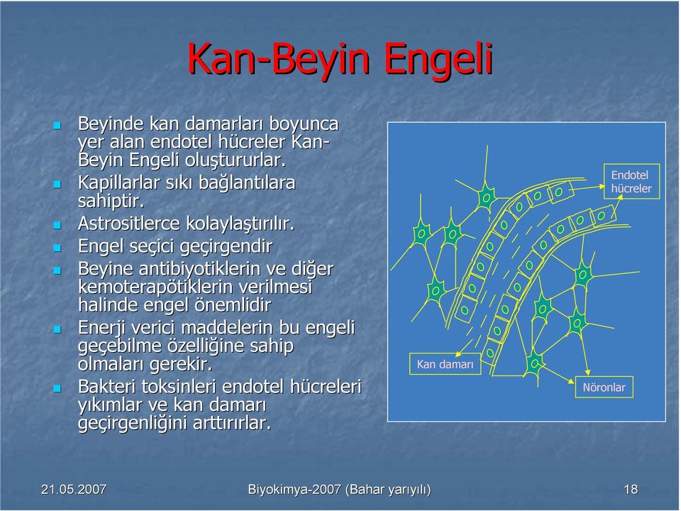 Engel seçicis geçirgendir Beyine antibiyoti otiklerin ve diğer kemoterapötiklerin verilmesi halinde engel önemlidir Enerji verici maddelerin bu