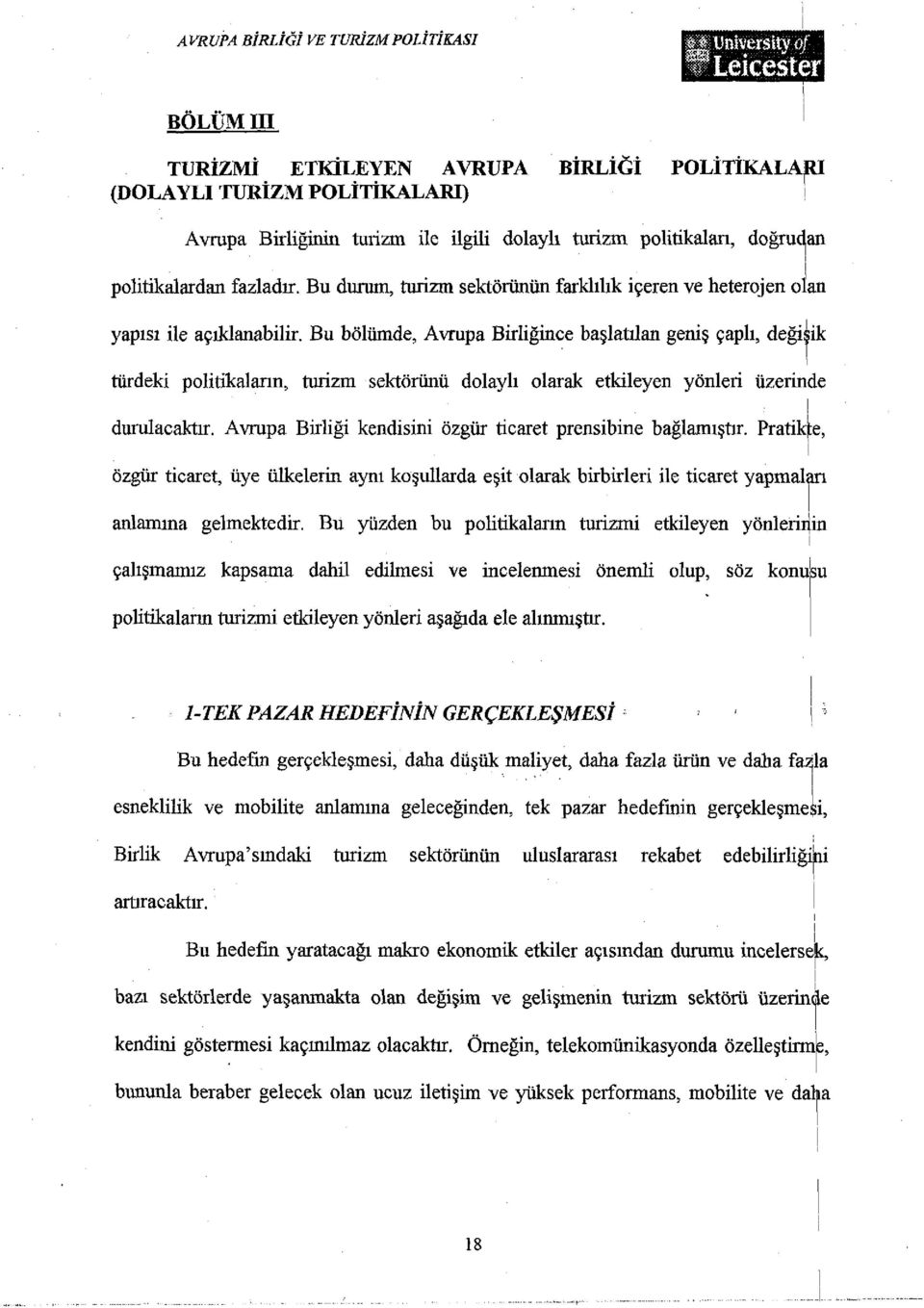 Bu bölümde, Avrupa Birliğince başlatılan geniş çaplı, değişik türdeki politikaların, turizm sektörünü dolaylı olarak etkileyen yönleri üzerinde durulacaktır.