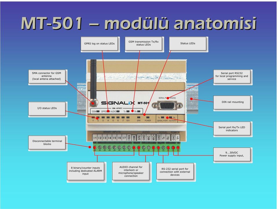 anatomisi