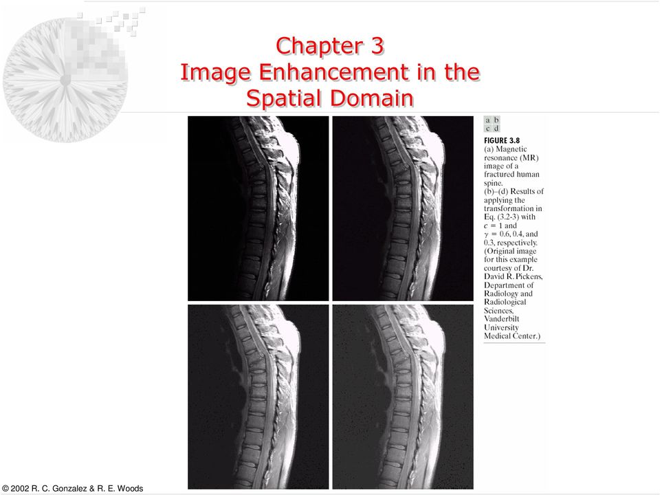 Spatial Domain 2002