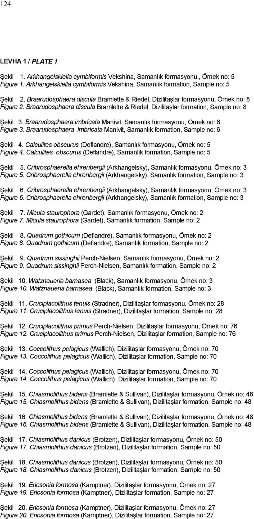 Braarudosphaera imbricata Manivit, Samanlık formasyonu, Örnek no: 6 Figure 3. Braarudosphaera imbricata Manivit, Samanlık formation, Sample no: 6 Şekil 4.