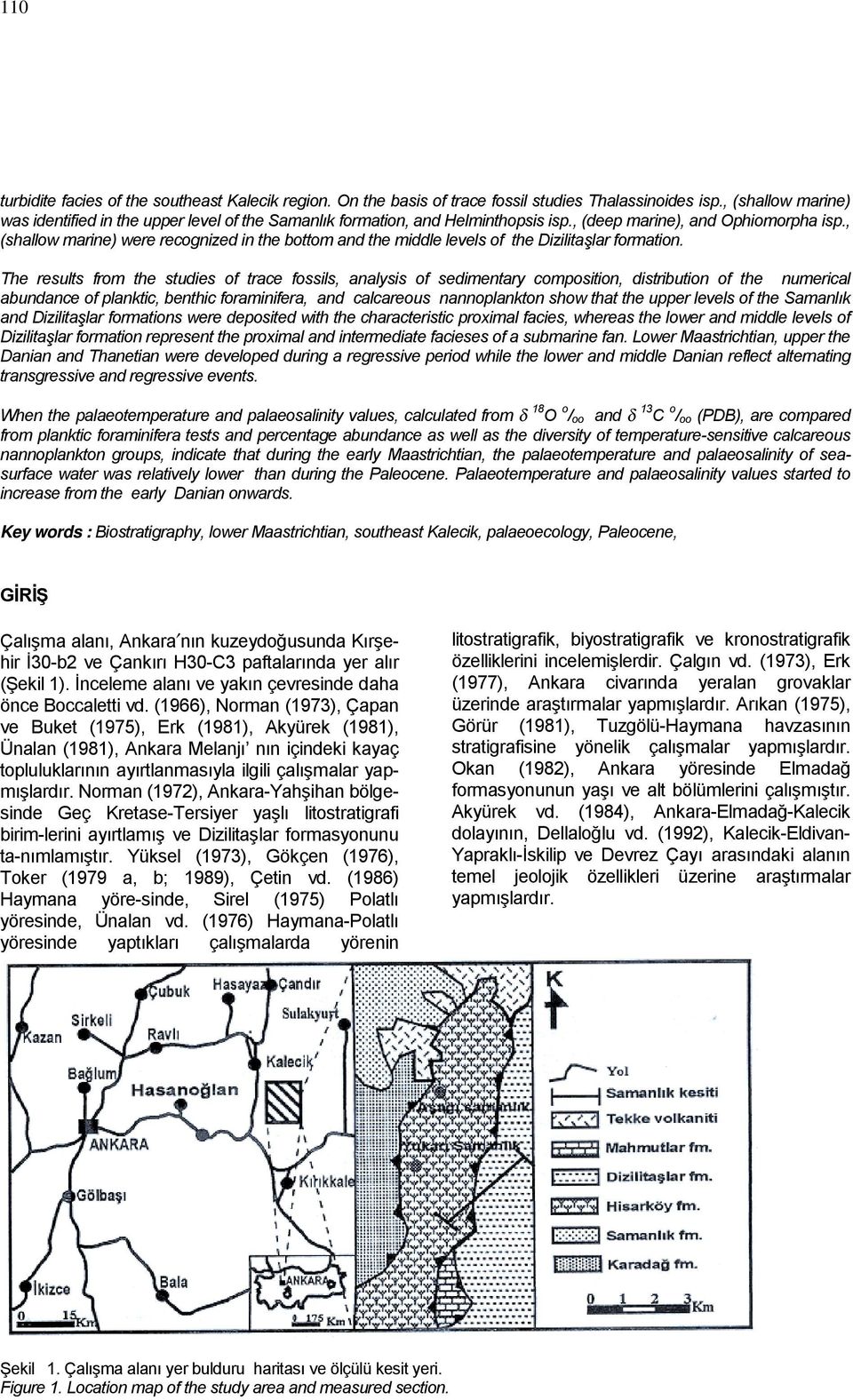 , (shallow marine) were recognized in the bottom and the middle levels of the Dizilitaşlar formation.