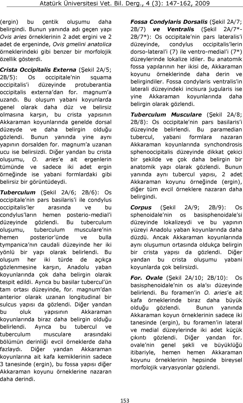 Crista Occipitalis Externa (Şekil 2A/5; 2B/5): Os occipitale nin squama occipitalis i düzeyinde protuberantia occipitalis externa dan for. magnum a uzandı.