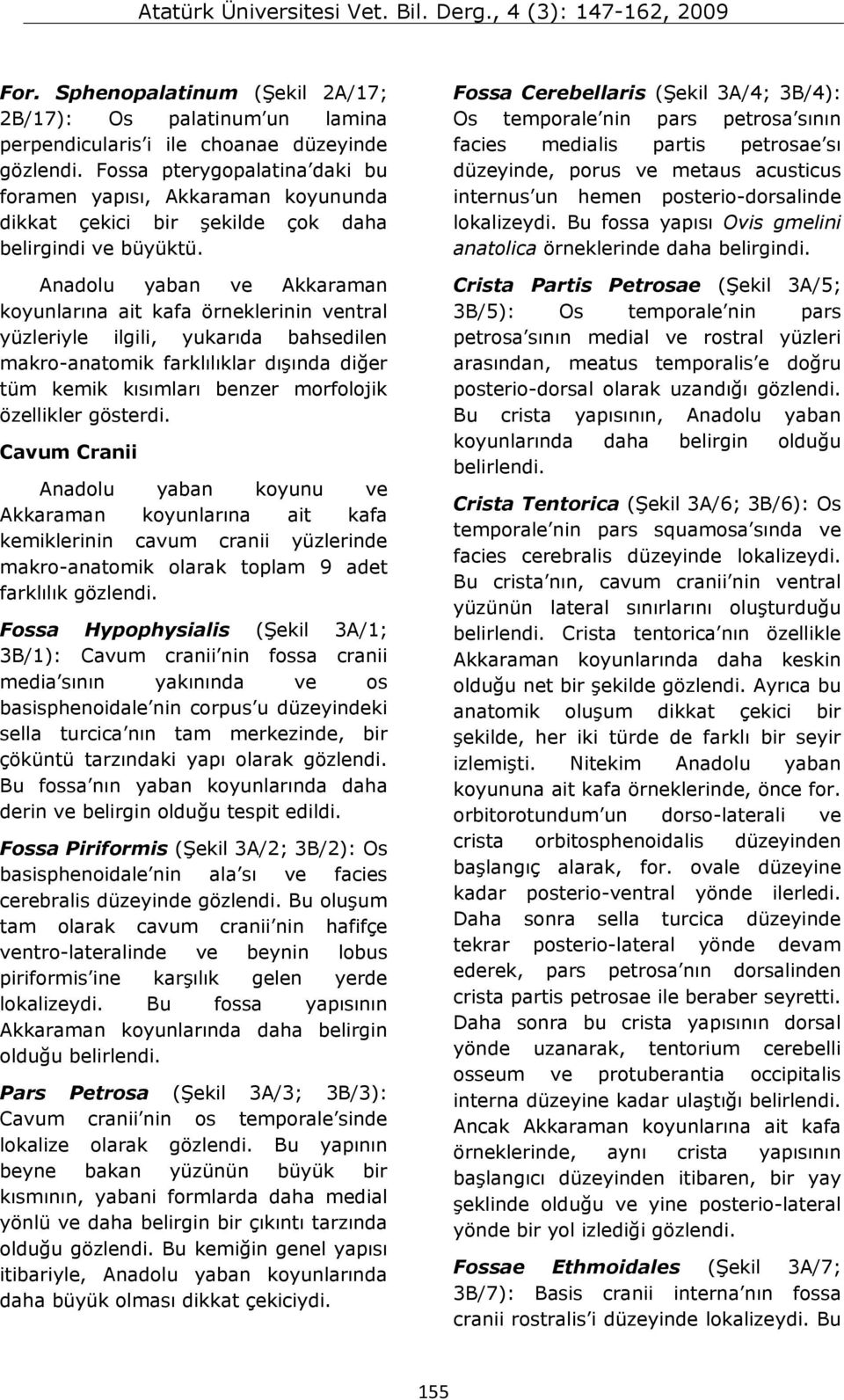 Anadolu yaban ve Akkaraman koyunlarına ait kafa örneklerinin ventral yüzleriyle ilgili, yukarıda bahsedilen makro-anatomik farklılıklar dışında diğer tüm kemik kısımları benzer morfolojik özellikler