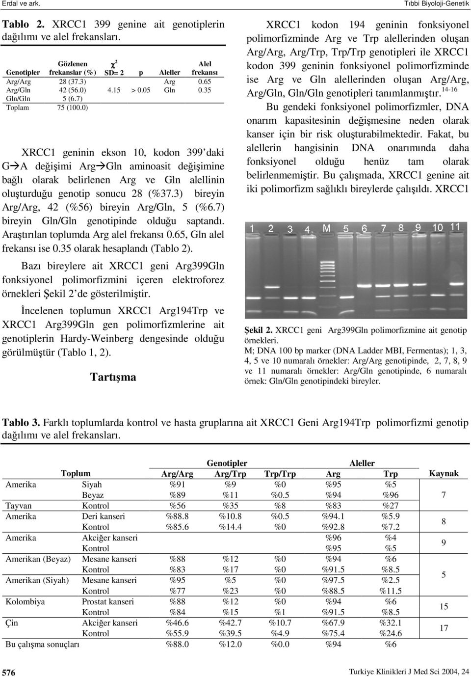 3) bireyin Arg/Arg, 42 (%56) bireyin Arg/Gln, 5 (%6.7) bireyin Gln/Gln genotipinde olduu saptandı. Aratırılan toplumda Arg alel frekansı 0.65, Gln alel frekansı ise 0.35 olarak hesaplandı (Tablo 2).