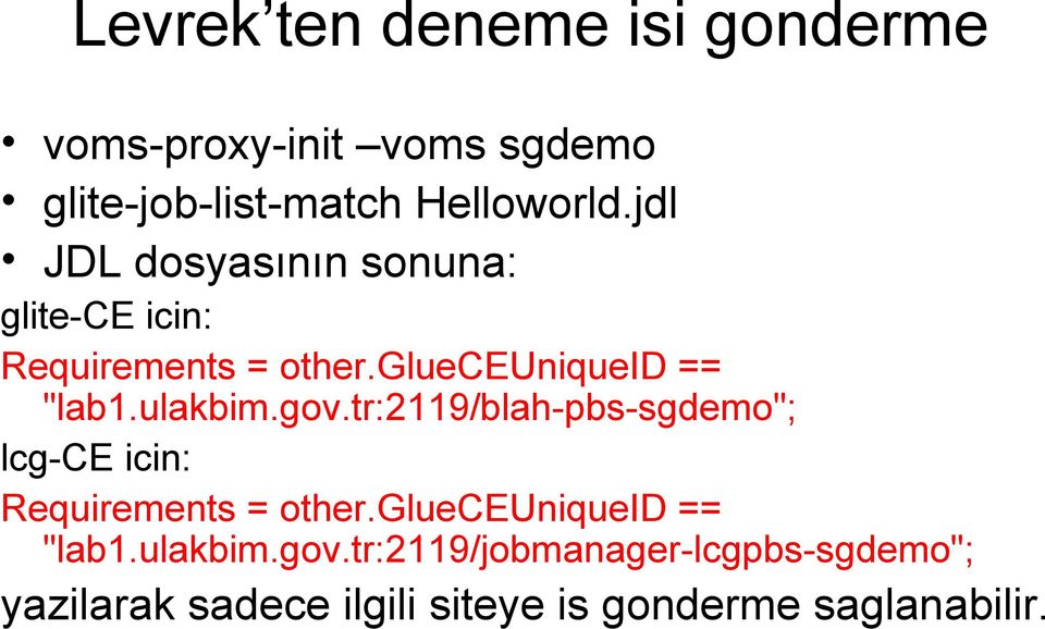 gov.tr:2119/blah-pbs-sgdemo"; lcg-ce icin: Requirements = other.glueceuniqueid == "lab1.