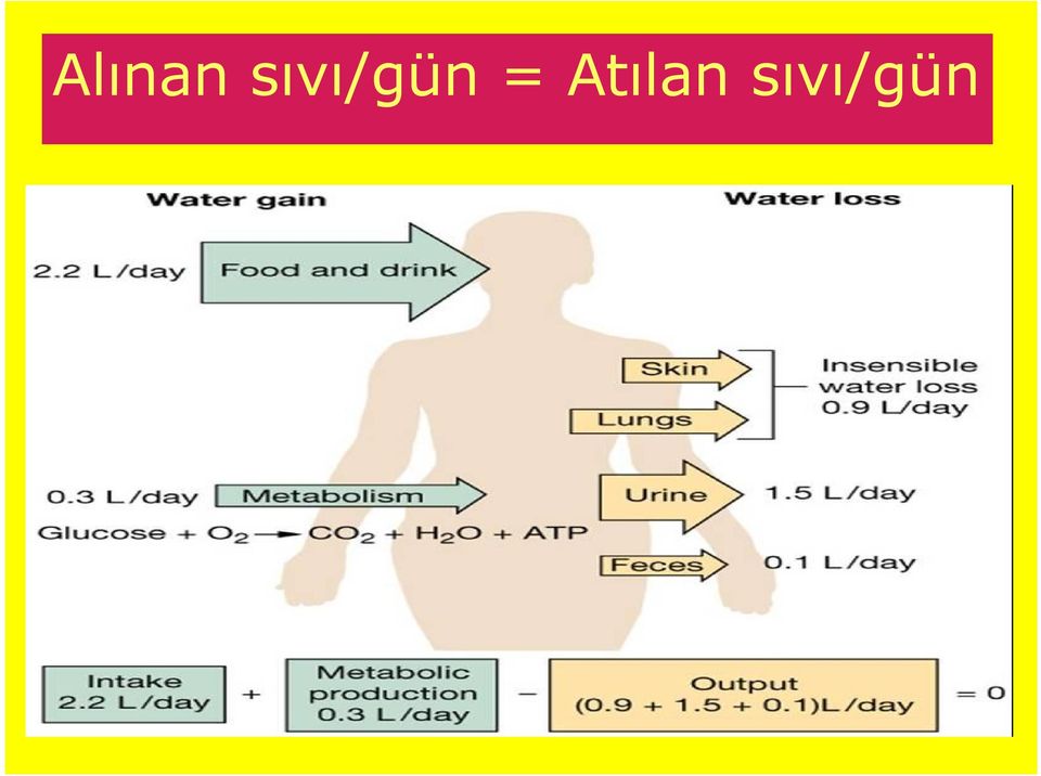 = Atılan 