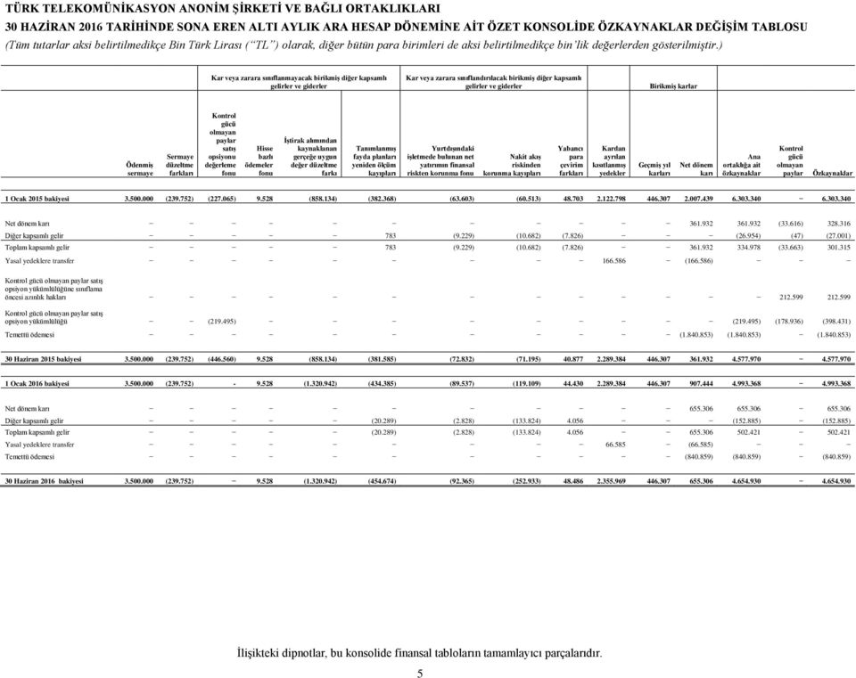 ödemeler fonu İştirak alımından kaynaklanan gerçeğe uygun değer düzeltme farkı Tanımlanmış fayda planları yeniden ölçüm kayıpları Yurtdışındaki işletmede bulunan net yatırımın finansal riskten