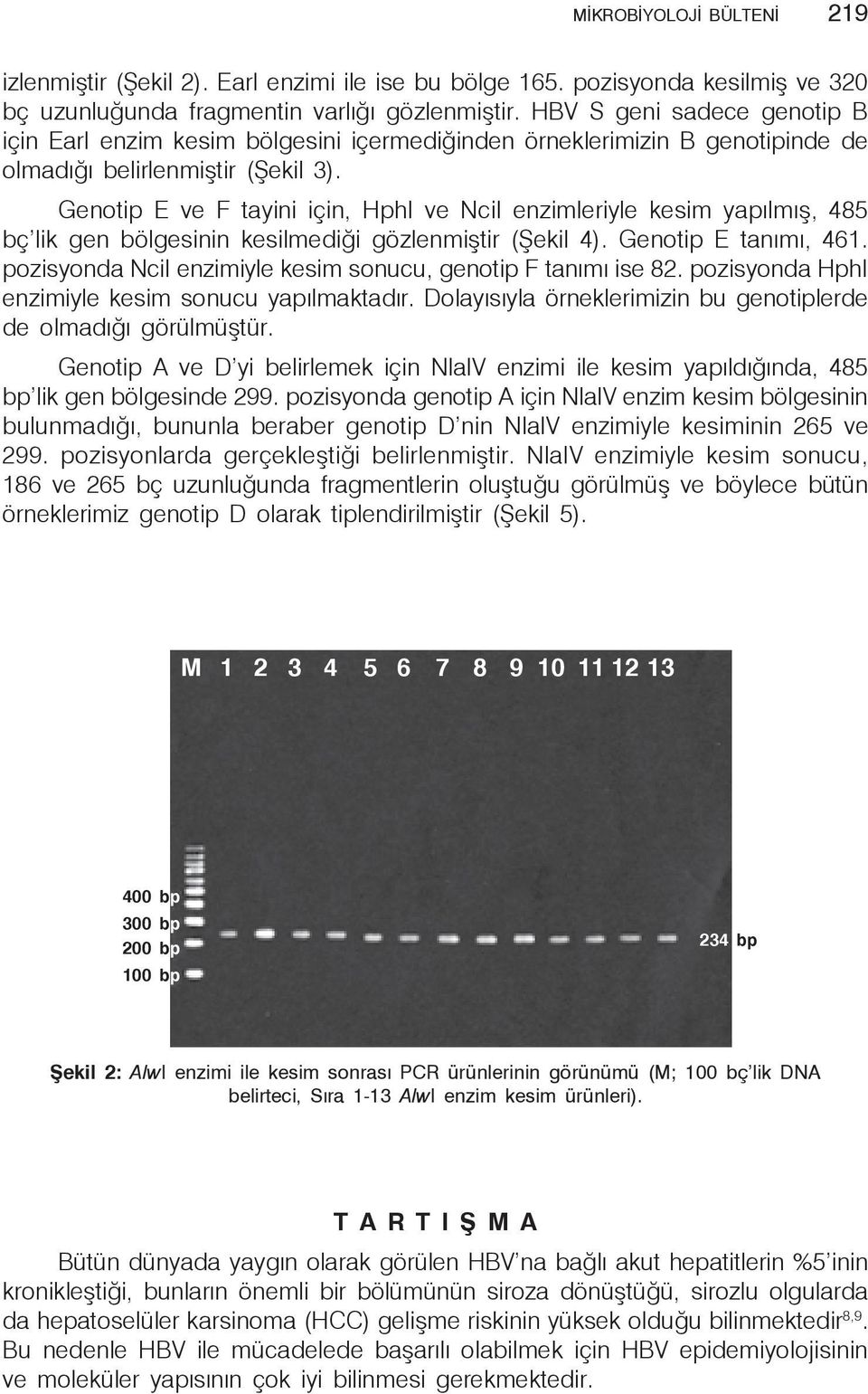 Genotip E ve F tayini için, HphI ve NciI enzimleriyle kesim yapılmış, 485 bç lik gen bölgesinin kesilmediği gözlenmiştir (Şekil 4). Genotip E tanımı, 461.
