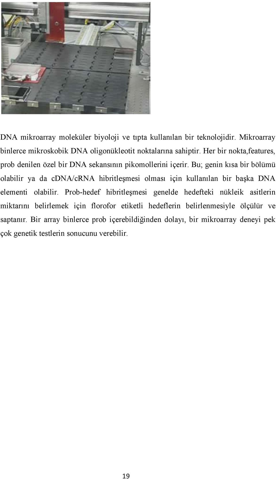 Bu; genin kısa bir bölümü olabilir ya da cdna/crna hibritleşmesi olması için kullanılan bir başka DNA elementi olabilir.