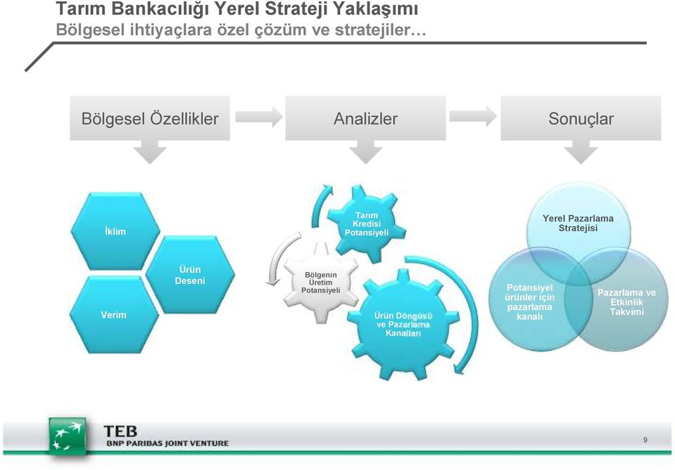 Yerel Pazarlama Stratejisi Verim Ürün Deseni Bölgenin Üretim Potansiyeli Ürün Döngüsü