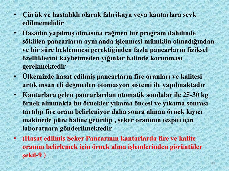 değmeden otomasyon sistemi ile yapılmaktadır Kantarlara gelen pancarlardan otomatik sondalar ile 25-30 kg örnek alınmakta bu örnekler yıkama öncesi ve yıkama sonrası tartılıp fire oranı belirleniyor