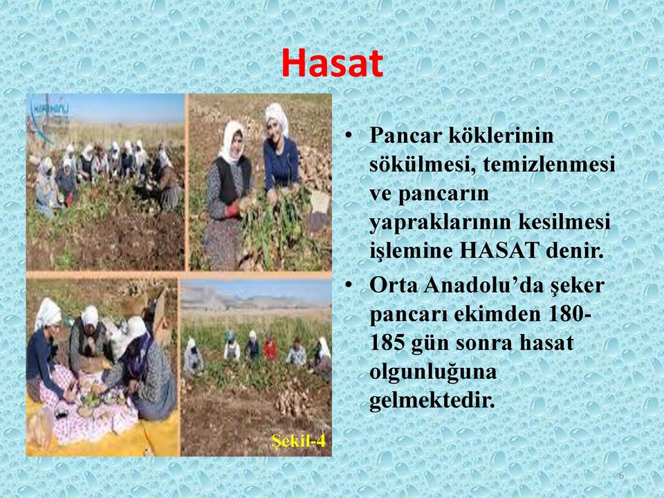 işlemine HASAT denir.