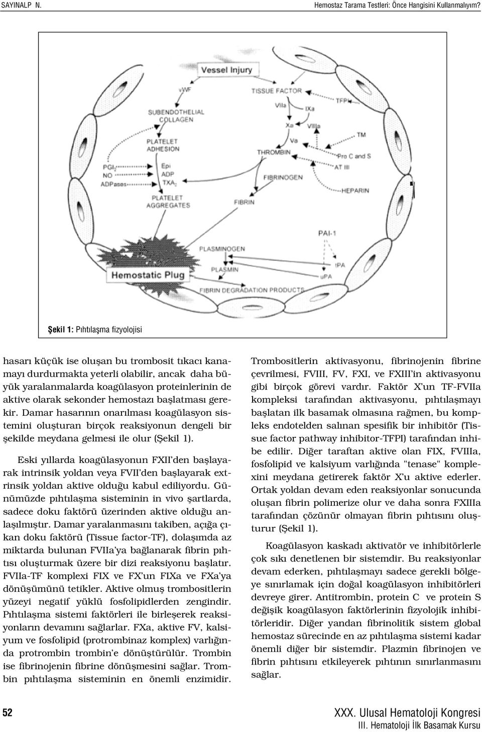 hemostaz bafllatmas gerekir. Damar hasar n n onar lmas koagülasyon sistemini oluflturan birçok reaksiyonun dengeli bir flekilde meydana gelmesi ile olur (fiekil 1).