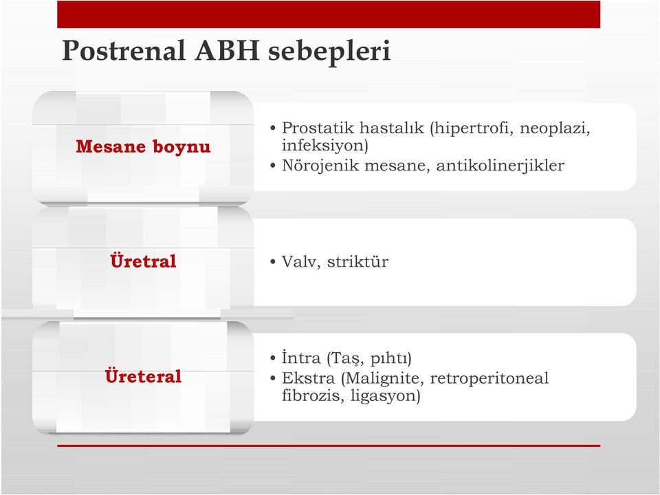 mesane, antikolinerjikler Üretral Valv, striktür İntra