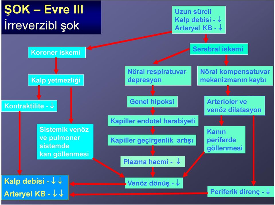 pulmoner sistemde kan göllenmesi Genel hipoksi Kapiller endotel harabiyeti Kapiller geçirgenlik artışı Plazma