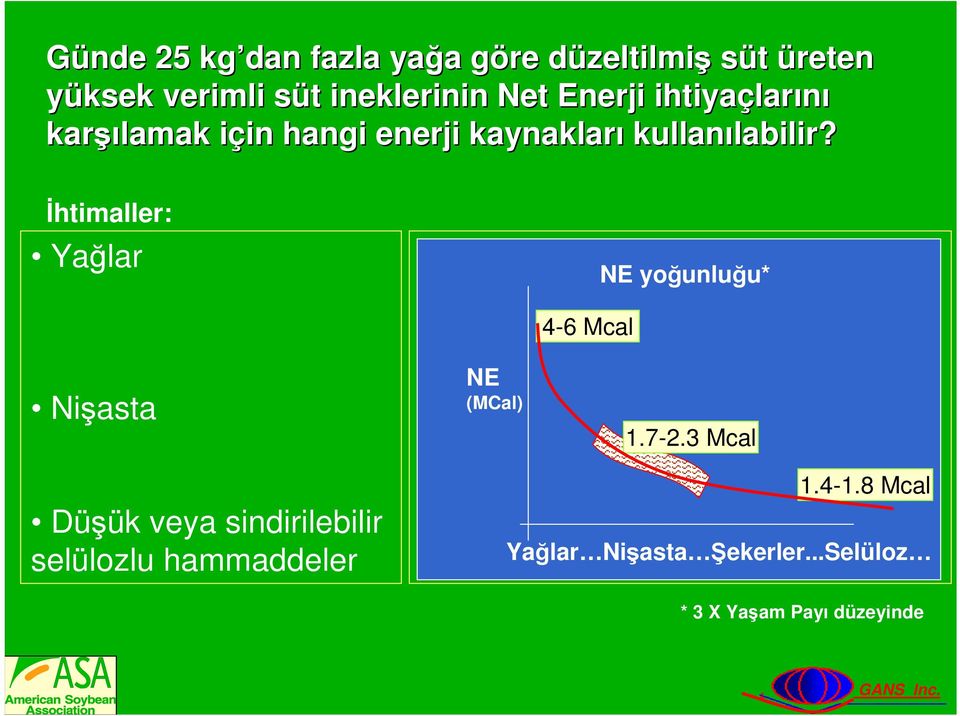 İhtimaller: Yağlar Nişasta Düşük veya sindirilebilir selülozlu hammaddeler Fats and oils (tallow; veg.