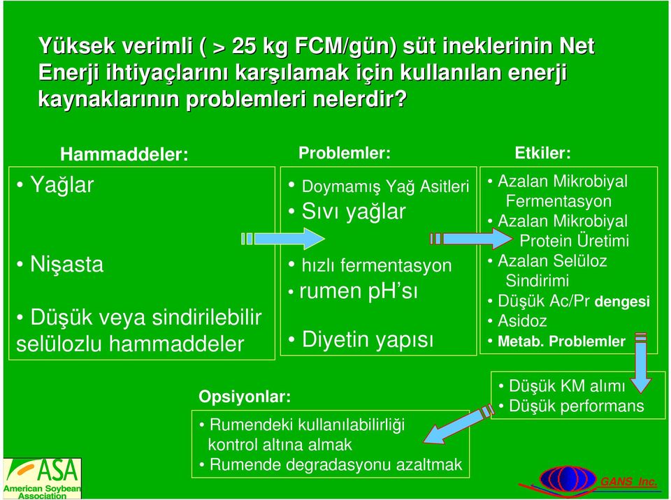 Yağlar Nişasta Hammaddeler: Düşük veya sindirilebilir selülozlu hammaddeler Problemler: Doymamış Yağ Asitleri Sıvı yağlar hızlı fermentasyon