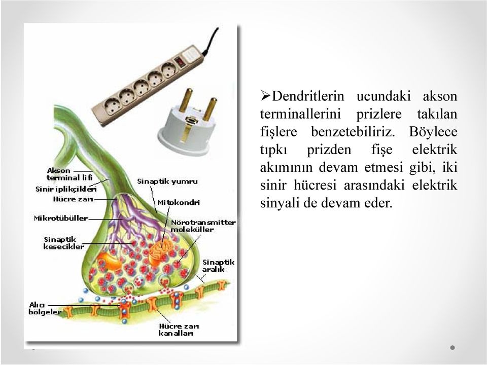 Böylece tıpkı prizden fişe elektrik akımının devam