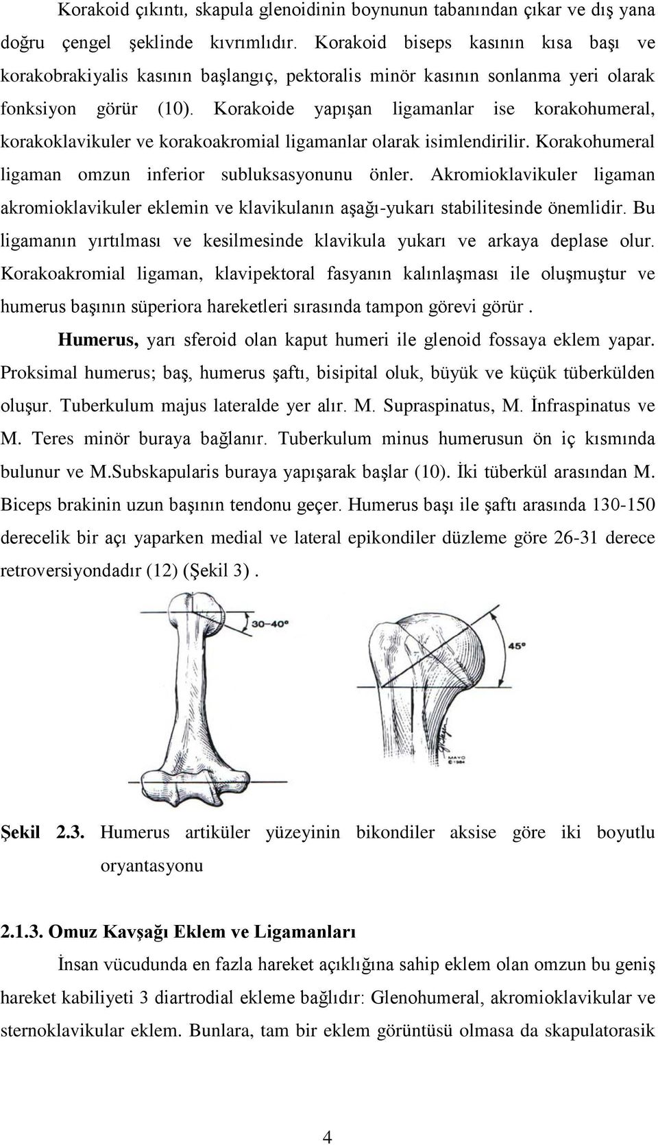 Korakoide yapışan ligamanlar ise korakohumeral, korakoklavikuler ve korakoakromial ligamanlar olarak isimlendirilir. Korakohumeral ligaman omzun inferior subluksasyonunu önler.