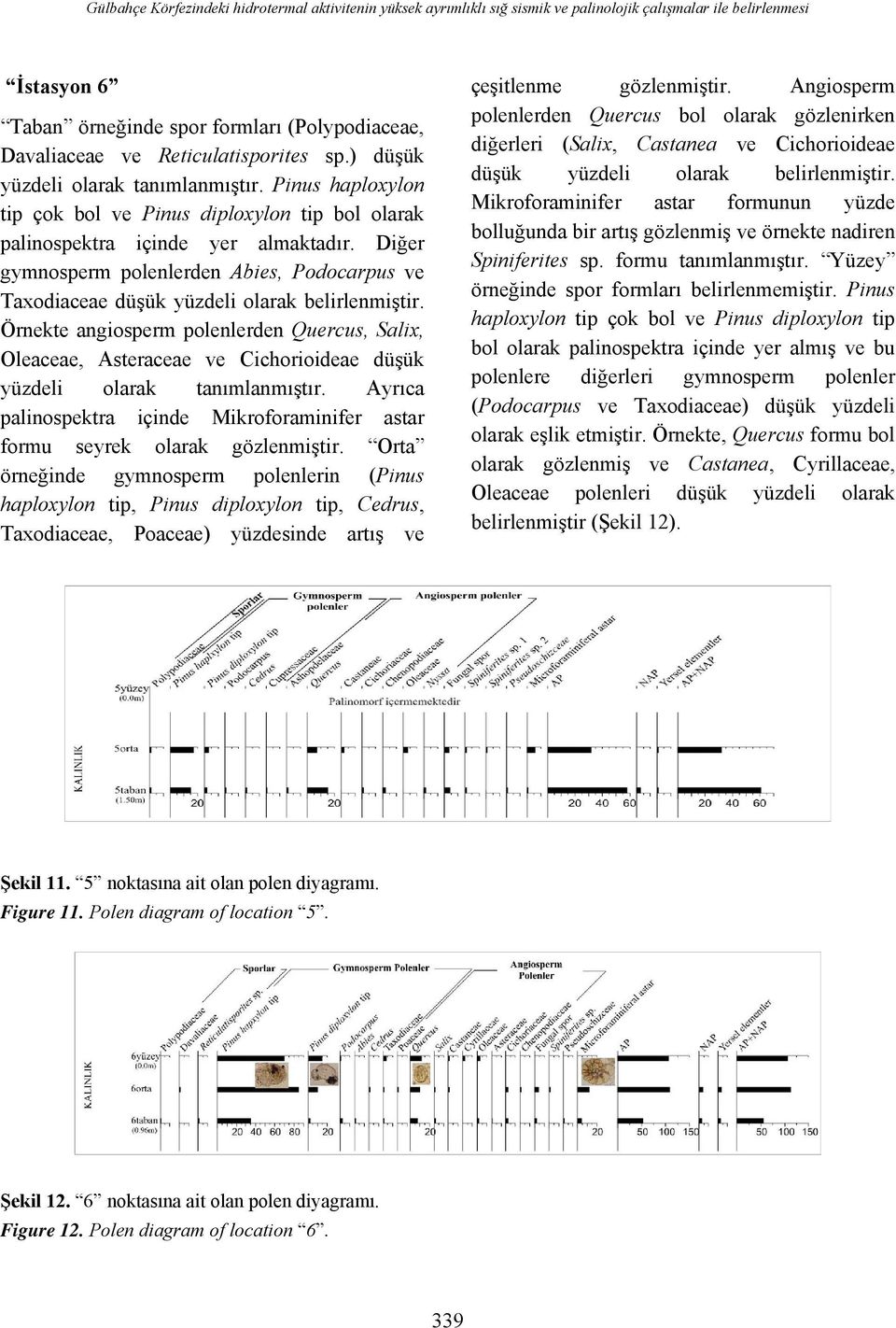 Diğer gymnosperm polenlerden Abies, Podocarpus ve Taxodiaceae düşük yüzdeli olarak belirlenmiştir.