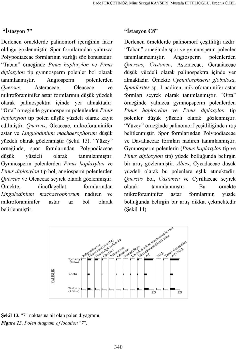 Angiosperm polenlerden Quercus, Asteraceae, Oleaceae ve mikroforaminifer astar formlarının düşük yüzdeli olarak palinospektra içinde yer almaktadır.