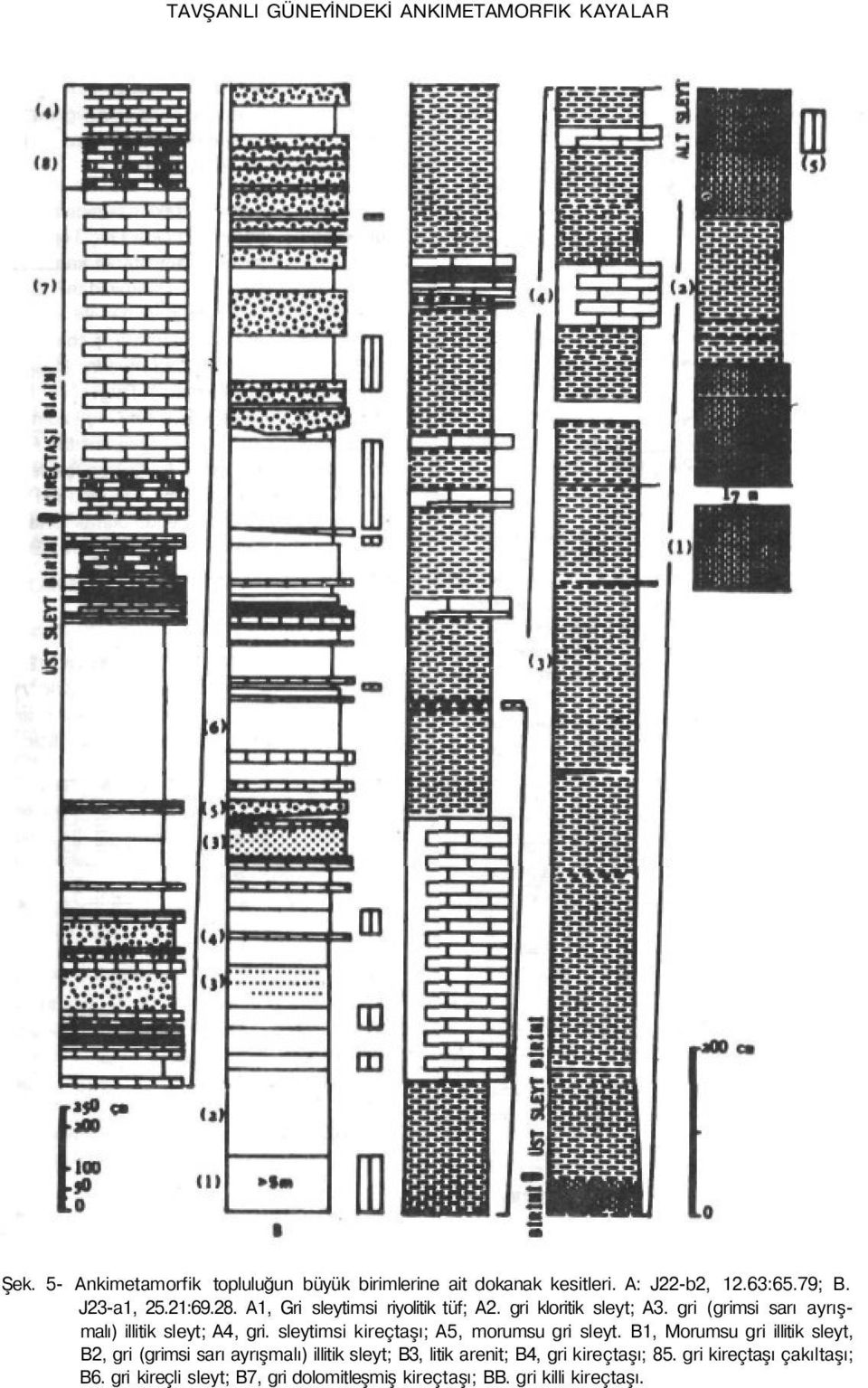 gri (grimsi sarı ayrışmalı) illitik sleyt; A4, gri. sleytimsi kireçtaşı; A5, morumsu gri sleyt.