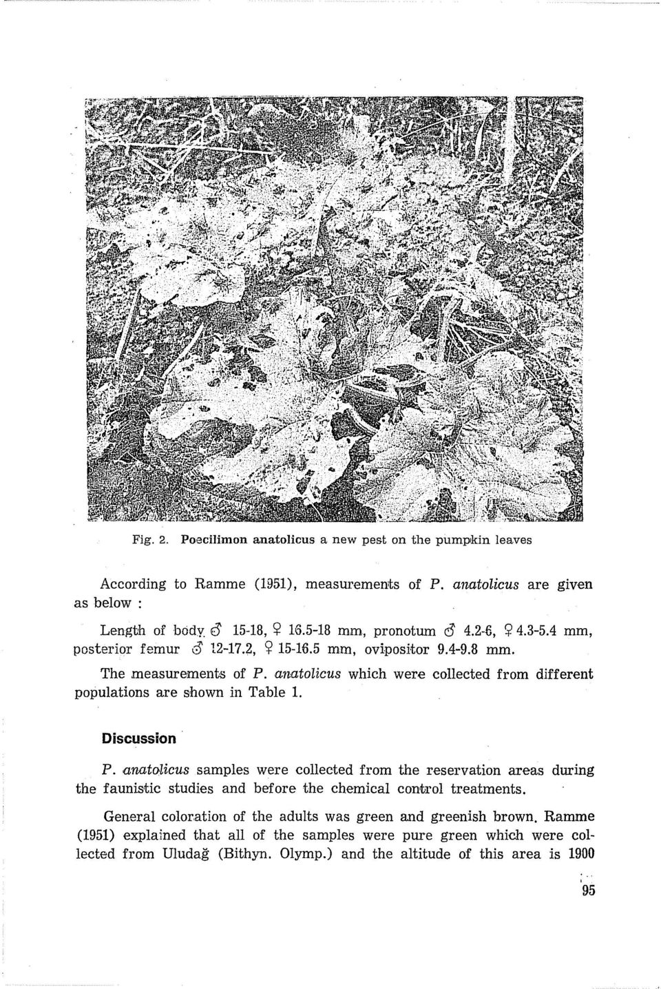 anatolicus which were collected from different populations are shown in Table ı. Discussion P.